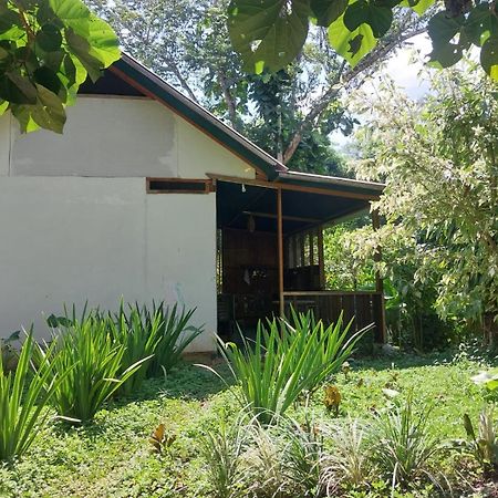 Jardin De Las Musas Puerto Maldonado Exterior foto