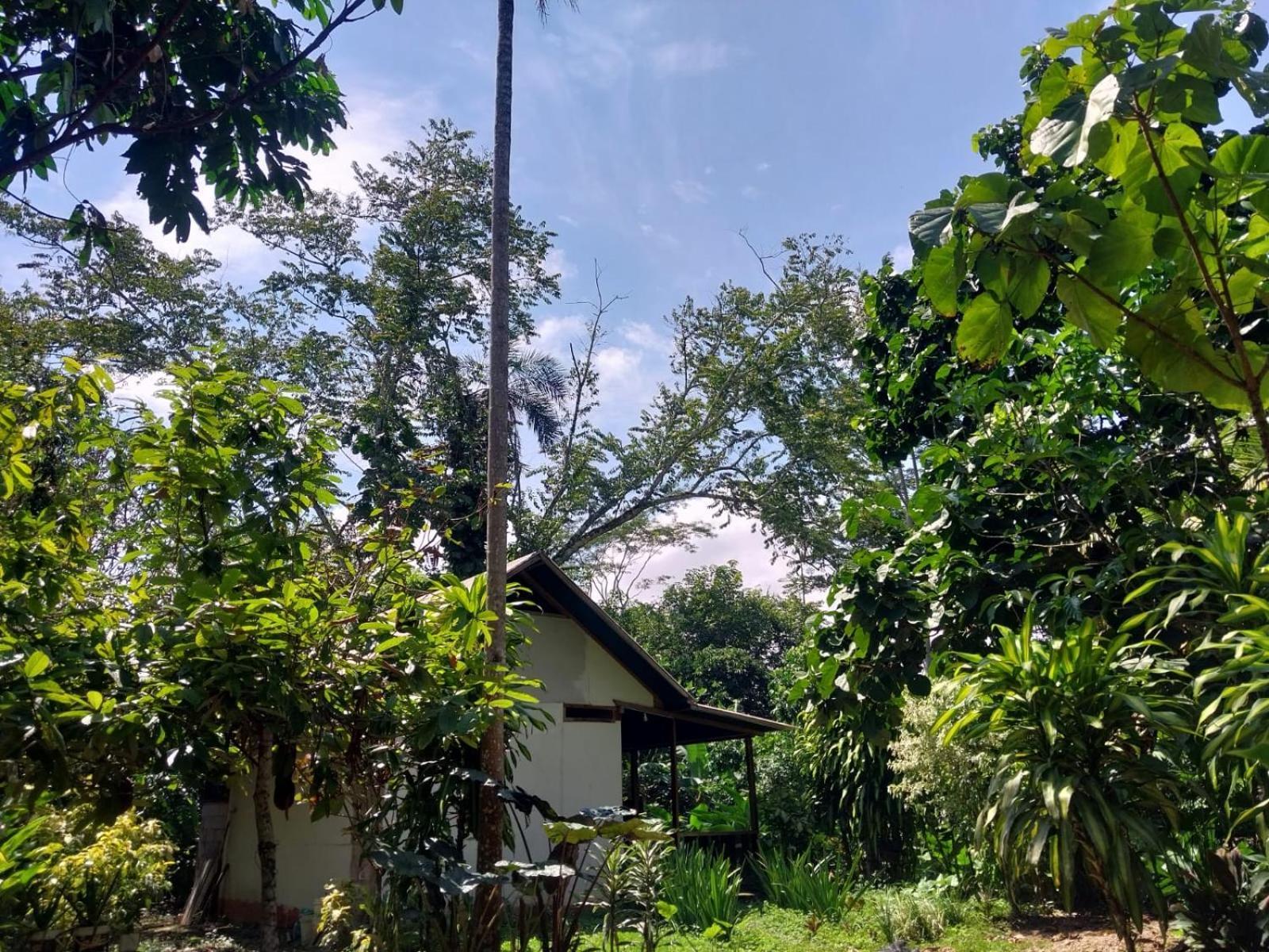 Jardin De Las Musas Puerto Maldonado Quarto foto