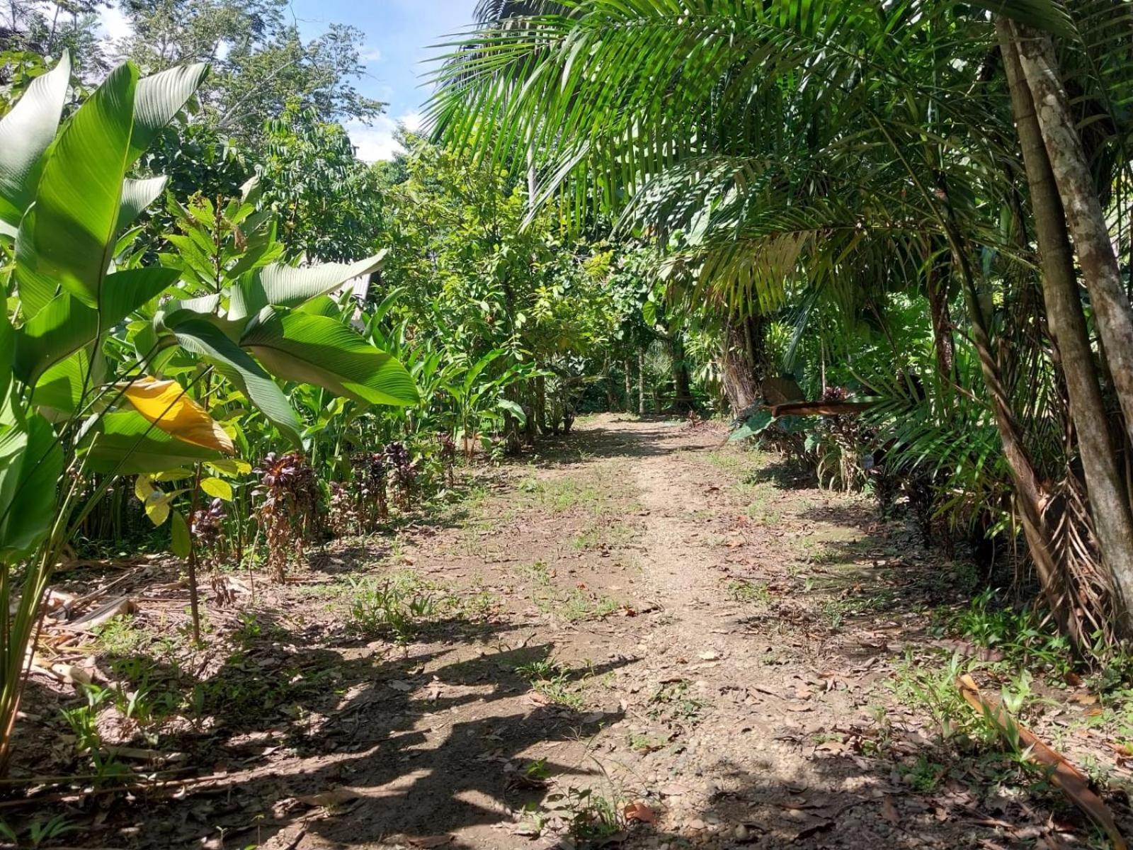Jardin De Las Musas Puerto Maldonado Quarto foto