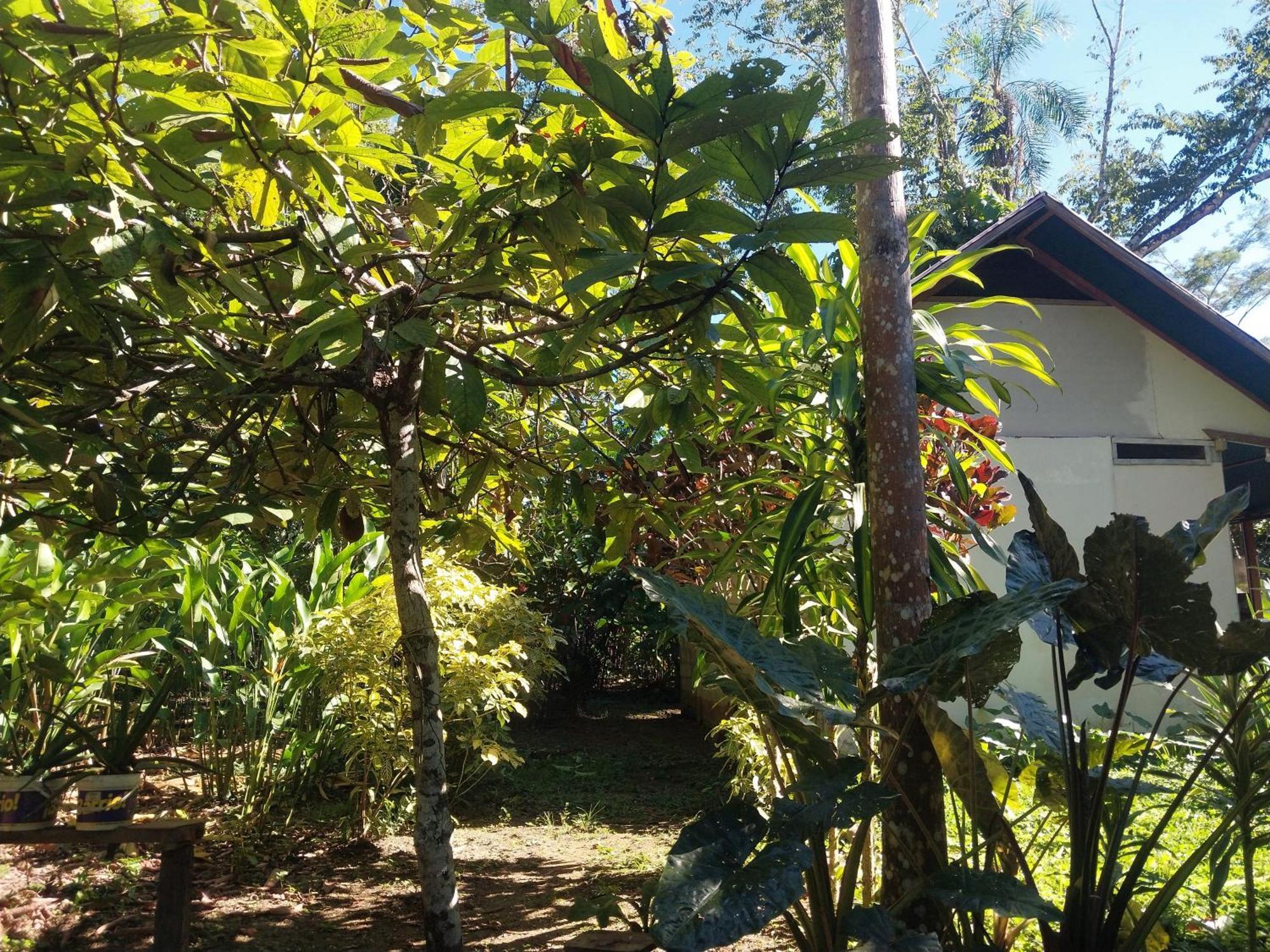Jardin De Las Musas Puerto Maldonado Exterior foto